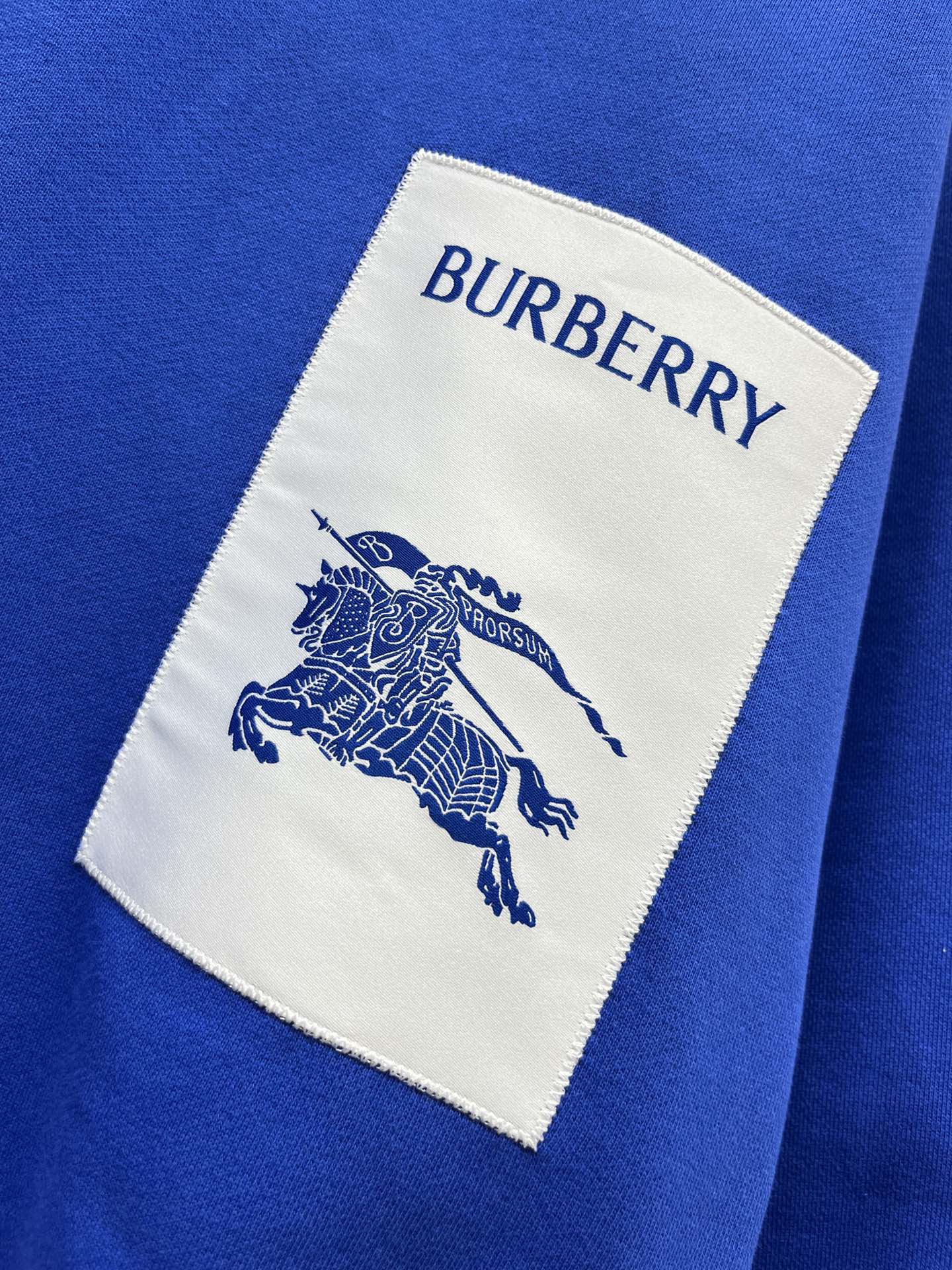 Burberry Hoodies